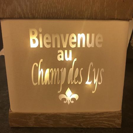 Le Champ Des Lys 호텔 Amancey 외부 사진