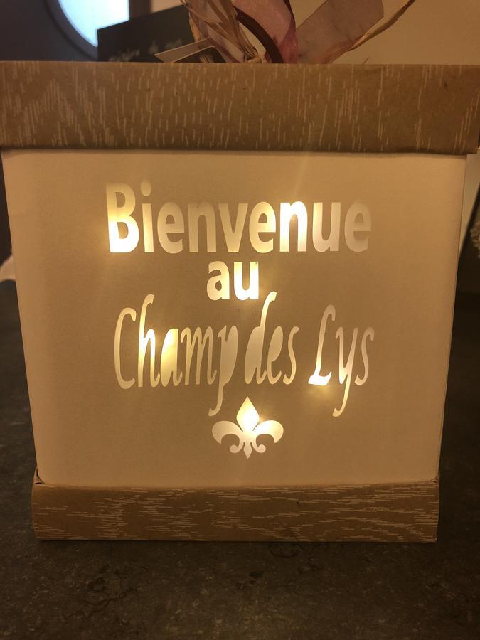 Le Champ Des Lys 호텔 Amancey 외부 사진